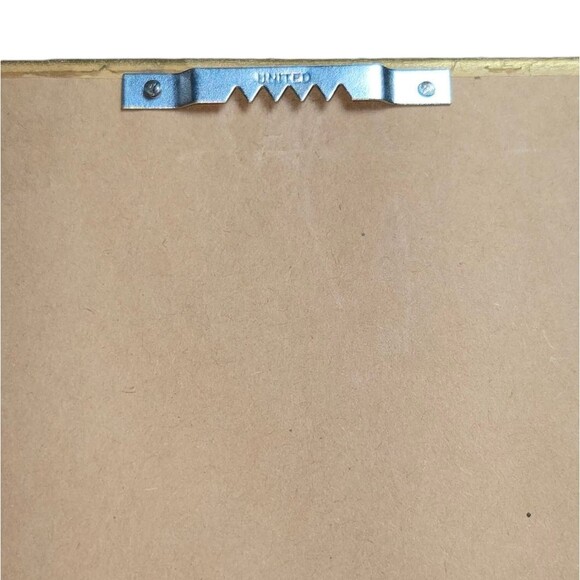 "A Frog Has An Easy Life.." Professionally Framed & Matted Frog Art 9.5"X9.5"X1" - Picture 5 of 8